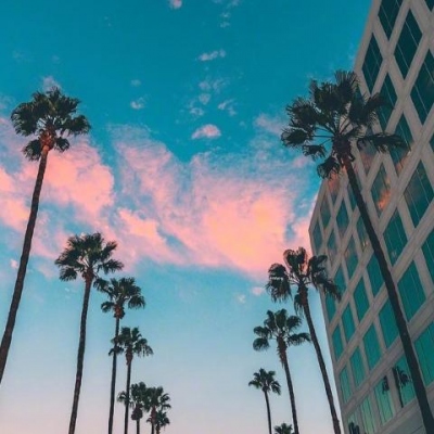 毛发医生李丙双